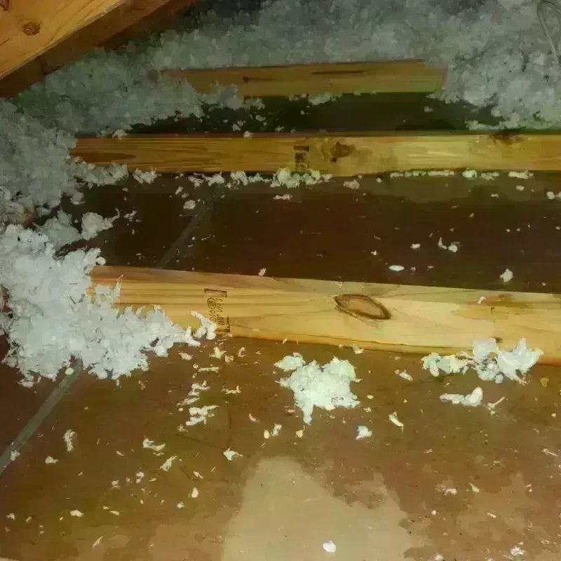 Attic Water Damage in Centerville, GA