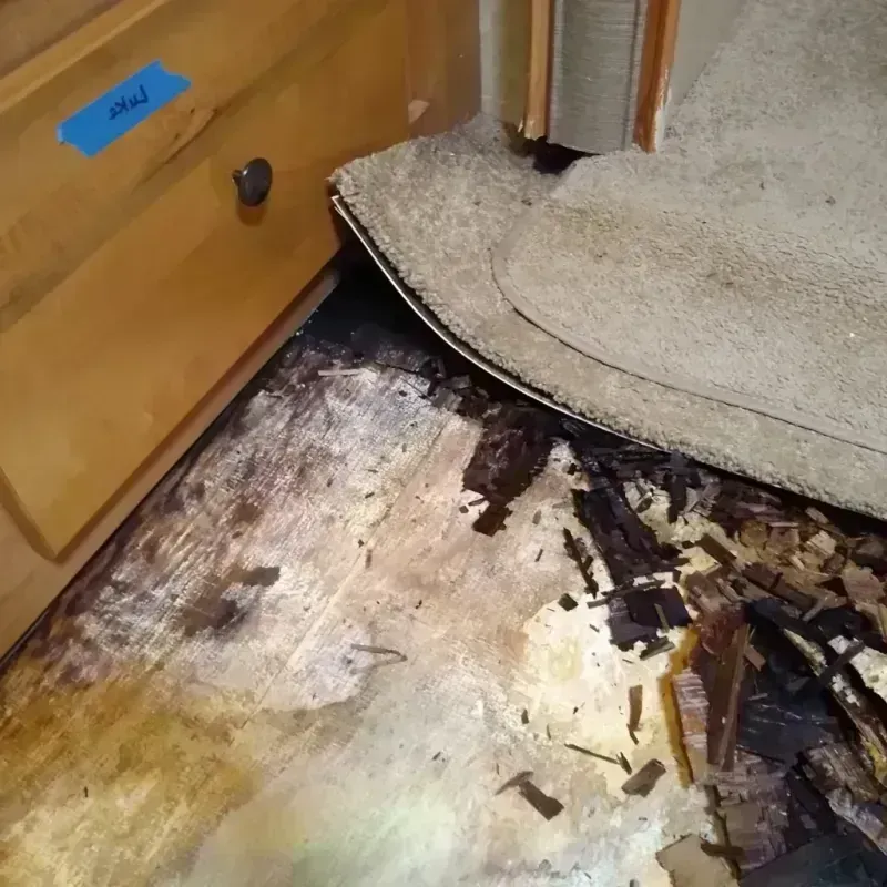 Best Wood Floor Water Damage Service in Centerville, GA